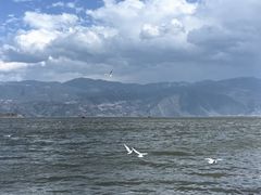 -西昌邛海湿地