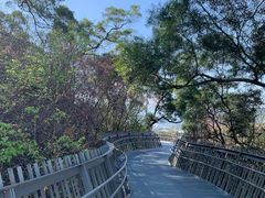 -福道
