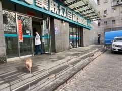 -美联众合动物医院·24h转诊中心