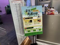 -京世沙龙
