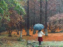 -南京市无想山景区