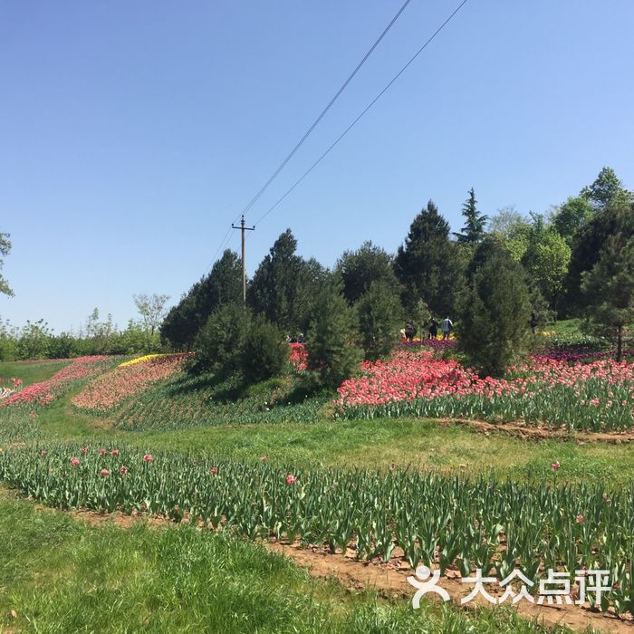 秦嶺國家植物園