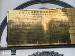 -黑龙江省森林植物园