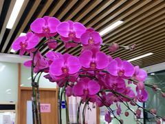 -茂菊口腔连锁(浦东南路店)