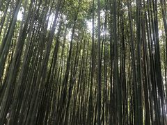 -竹泉村旅游度假区