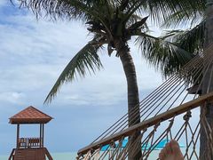 -三亚海棠湾万丽度假酒店