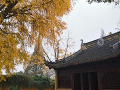 -苏州上方山国家森林公园