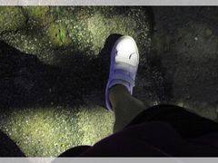 -韶山毛泽东同志故居