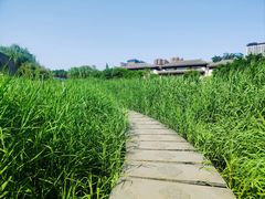 -西安汉城湖景区