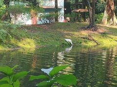 -越秀山游泳场