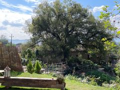 -东钱湖旅游度假区