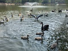 -西安秦岭野生动物园