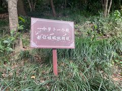 -狼山风景名胜区