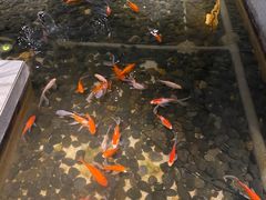 -大渔之观(安贞店)