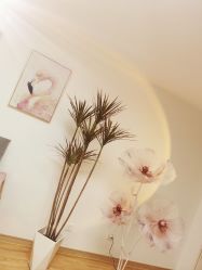 -美肤盾祛痘·问题肌头疗管理中心