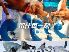 -乐和乐都主题乐园