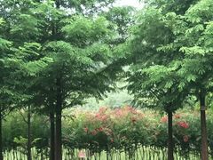 -仁和公园(顺义区)