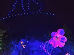 -东台西溪天仙缘景区