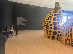 -旧金山现代艺术博物馆