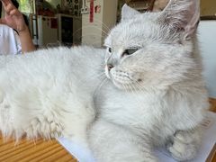 -小时光咖啡馆(开森度假森林店)