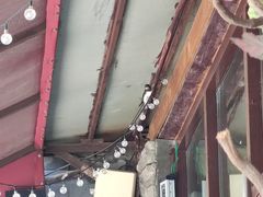 -泰丰楼(前门西大街店)