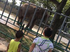 -西安秦岭野生动物园