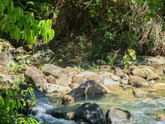 -广州白江湖森林公园