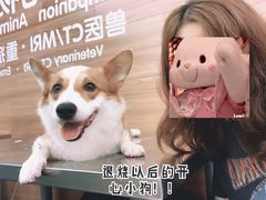 -爱侣宠医·鹦鹉专科·小型哺乳类·异宠专科(灵石路店)