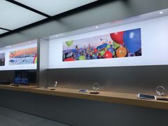 -Apple 零售店(Canton Road)