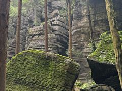 -梭布垭石林景区