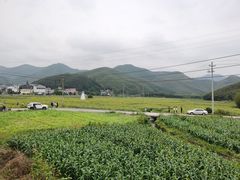 -莫干山风景区