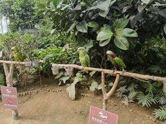 -南宫五洲植物乐园