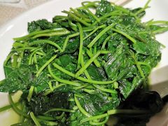 地瓜叶-武夷山德懋堂度假村·五观堂餐厅