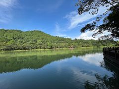 -广州白江湖森林公园