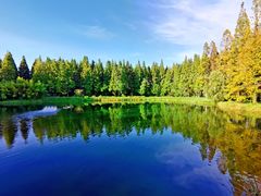 -黄海国家森林公园