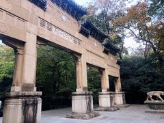 -灵谷景区