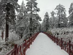 -瓦屋山景区