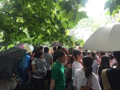 -东北人粗粮饺子坊(南山店)