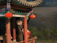 -成都泰迪熊博物馆