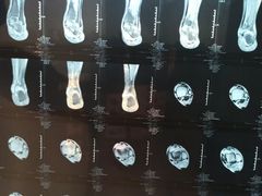 -上海市中医医院(芷江路院区)