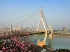 -大渡口区义渡公园