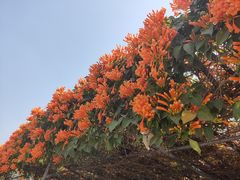 -中国移动南方基地