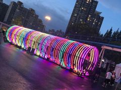 -锦江乐园舞狸花花游园会(夜场专享)