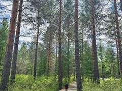 -北极村旅游风景区