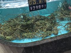 -万禧明珠大酒楼(海丰店)