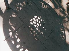 -巴山一绝烤全羊(三圣乡刘家花园店)