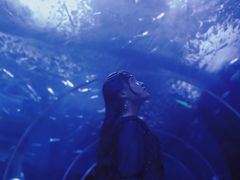 -多彩贵州城极地海洋世界