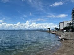 -杨梅坑