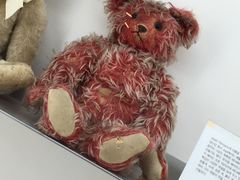 -济州岛泰迪熊博物馆