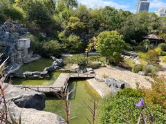 -上海吴淞炮台湾国家湿地公园